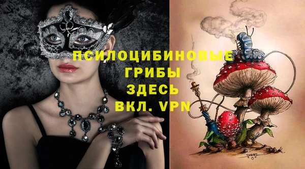 не бодяженный Горно-Алтайск